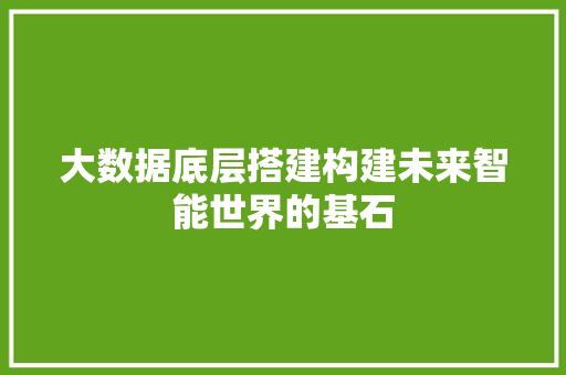 大数据底层搭建构建未来智能世界的基石