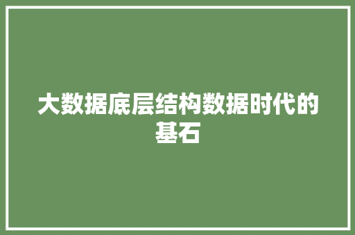 大数据底层结构数据时代的基石