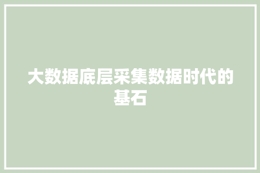 大数据底层采集数据时代的基石