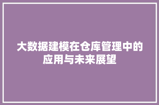 大数据建模在仓库管理中的应用与未来展望
