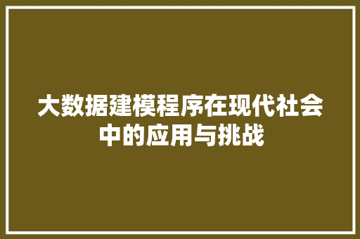 大数据建模程序在现代社会中的应用与挑战