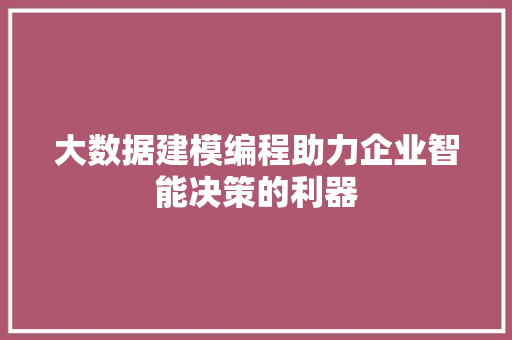 大数据建模编程助力企业智能决策的利器