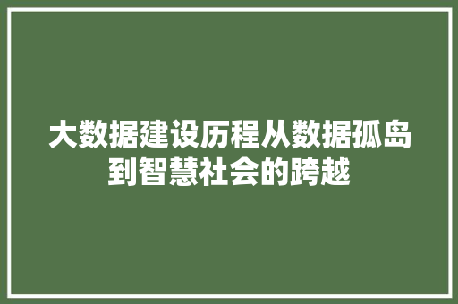 大数据建设历程从数据孤岛到智慧社会的跨越