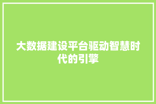 大数据建设平台驱动智慧时代的引擎