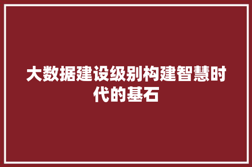 大数据建设级别构建智慧时代的基石