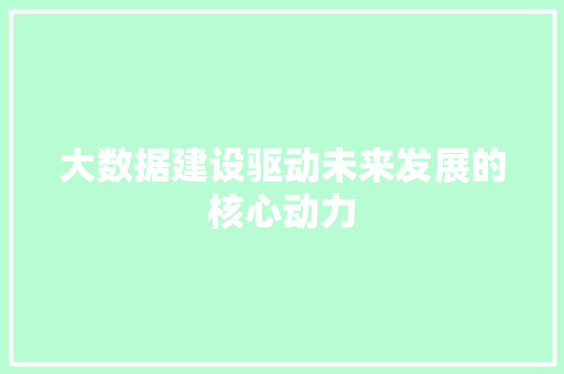 大数据建设驱动未来发展的核心动力