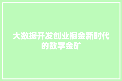 大数据开发创业掘金新时代的数字金矿