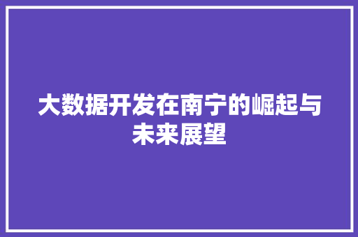大数据开发在南宁的崛起与未来展望