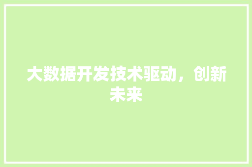 大数据开发技术驱动，创新未来