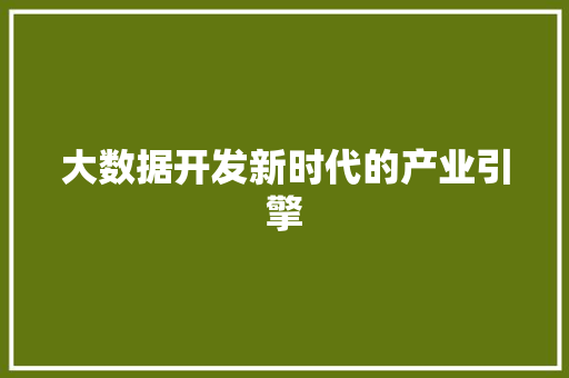大数据开发新时代的产业引擎