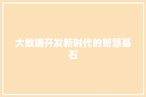 大数据开发新时代的智慧基石