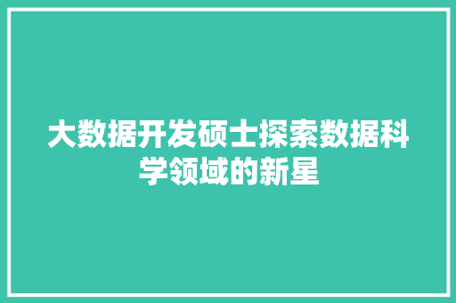 大数据开发硕士探索数据科学领域的新星