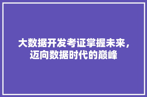 大数据开发考证掌握未来，迈向数据时代的巅峰