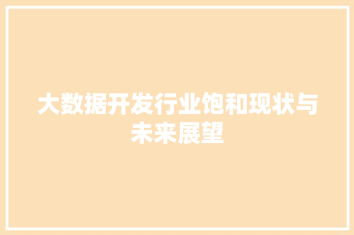 大数据开发行业饱和现状与未来展望