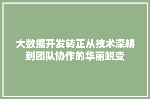 大数据开发转正从技术深耕到团队协作的华丽蜕变