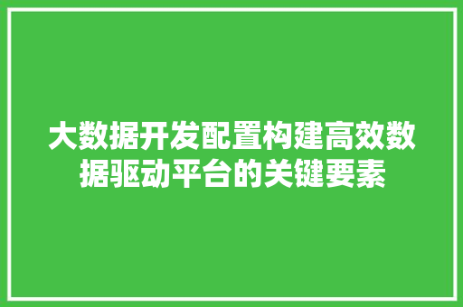 大数据开发配置构建高效数据驱动平台的关键要素
