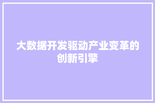 大数据开发驱动产业变革的创新引擎