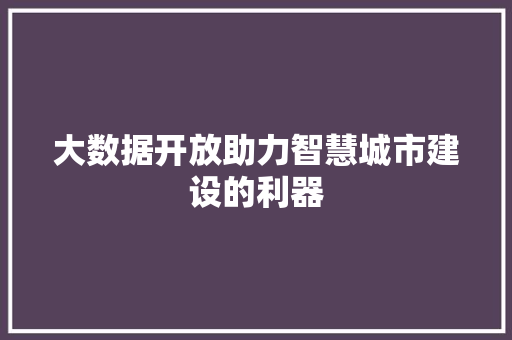 大数据开放助力智慧城市建设的利器