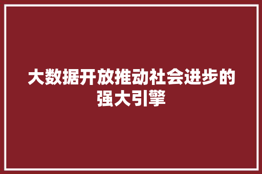大数据开放推动社会进步的强大引擎