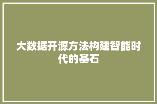 大数据开源方法构建智能时代的基石