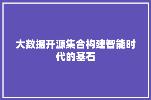 大数据开源集合构建智能时代的基石
