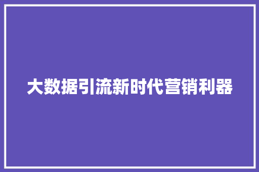 大数据引流新时代营销利器