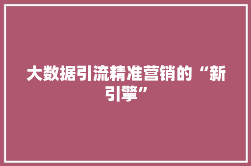 大数据引流精准营销的“新引擎”
