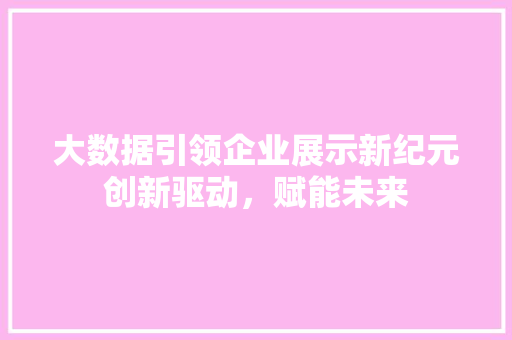 大数据引领企业展示新纪元创新驱动，赋能未来