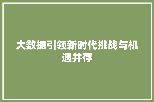 大数据引领新时代挑战与机遇并存