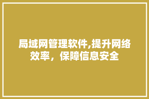局域网管理软件,提升网络效率，保障信息安全
