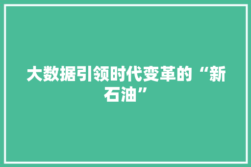 大数据引领时代变革的“新石油”