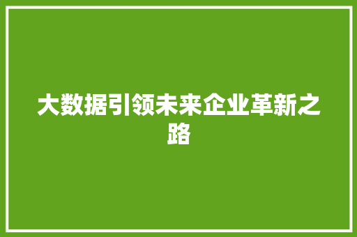 大数据引领未来企业革新之路