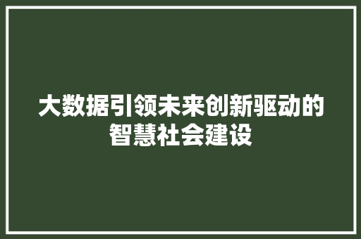大数据引领未来创新驱动的智慧社会建设
