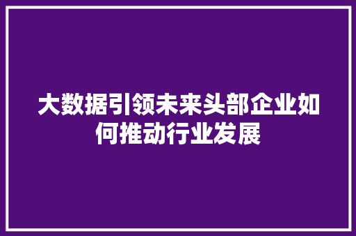 大数据引领未来头部企业如何推动行业发展