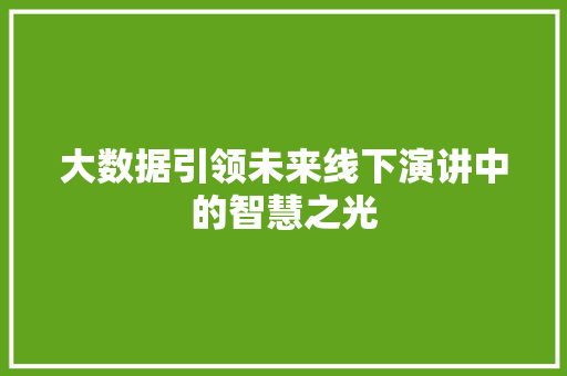 大数据引领未来线下演讲中的智慧之光