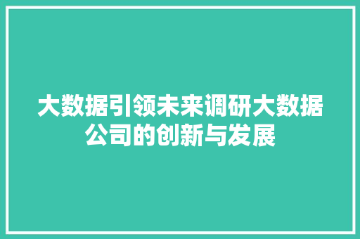 大数据引领未来调研大数据公司的创新与发展