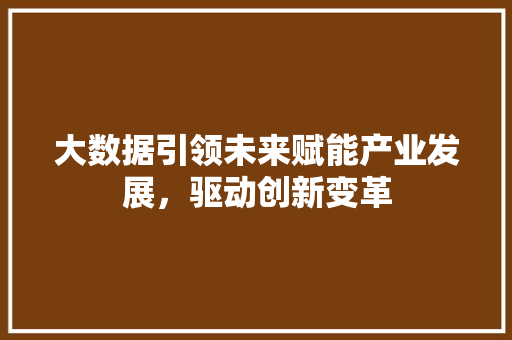 大数据引领未来赋能产业发展，驱动创新变革