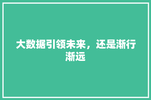 大数据引领未来，还是渐行渐远