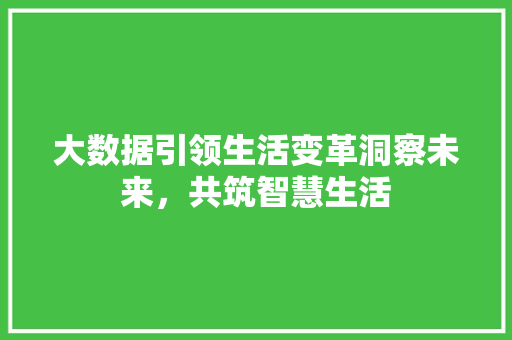 大数据引领生活变革洞察未来，共筑智慧生活