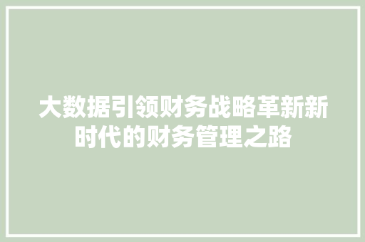 大数据引领财务战略革新新时代的财务管理之路