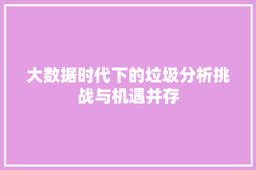 大数据时代下的垃圾分析挑战与机遇并存 SEO教程