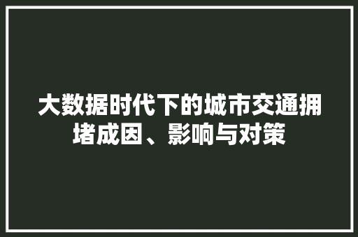 大数据时代下的城市交通拥堵成因、影响与对策
