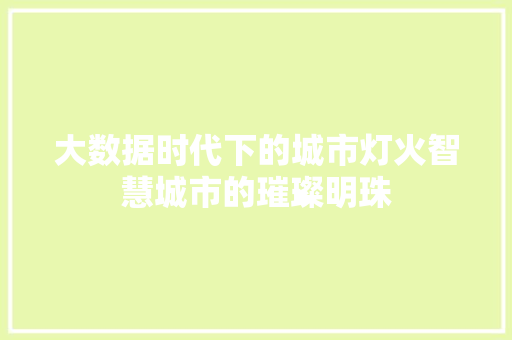 大数据时代下的城市灯火智慧城市的璀璨明珠