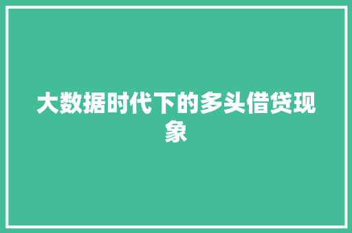 大数据时代下的多头借贷现象