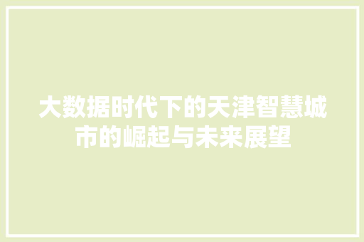 大数据时代下的天津智慧城市的崛起与未来展望
