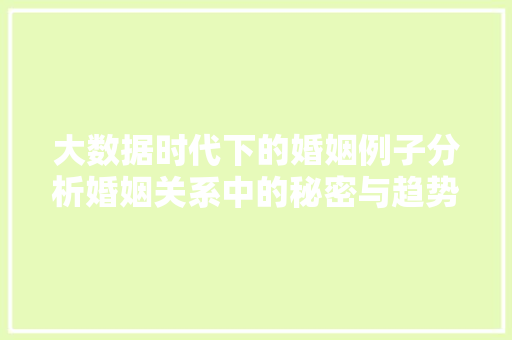大数据时代下的婚姻例子分析婚姻关系中的秘密与趋势