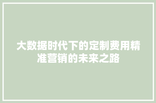 大数据时代下的定制费用精准营销的未来之路