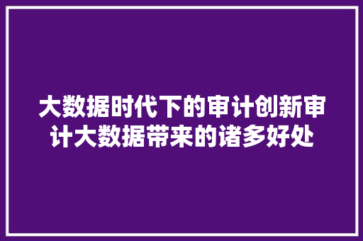 大数据时代下的审计创新审计大数据带来的诸多好处