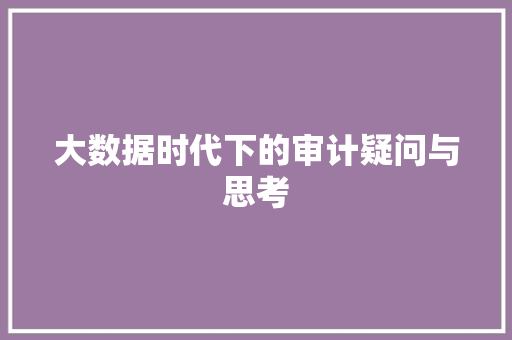 大数据时代下的审计疑问与思考
