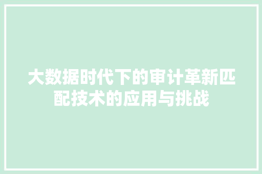 大数据时代下的审计革新匹配技术的应用与挑战